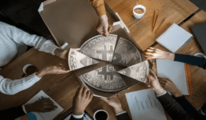 What Is a Crypto Developer Community?